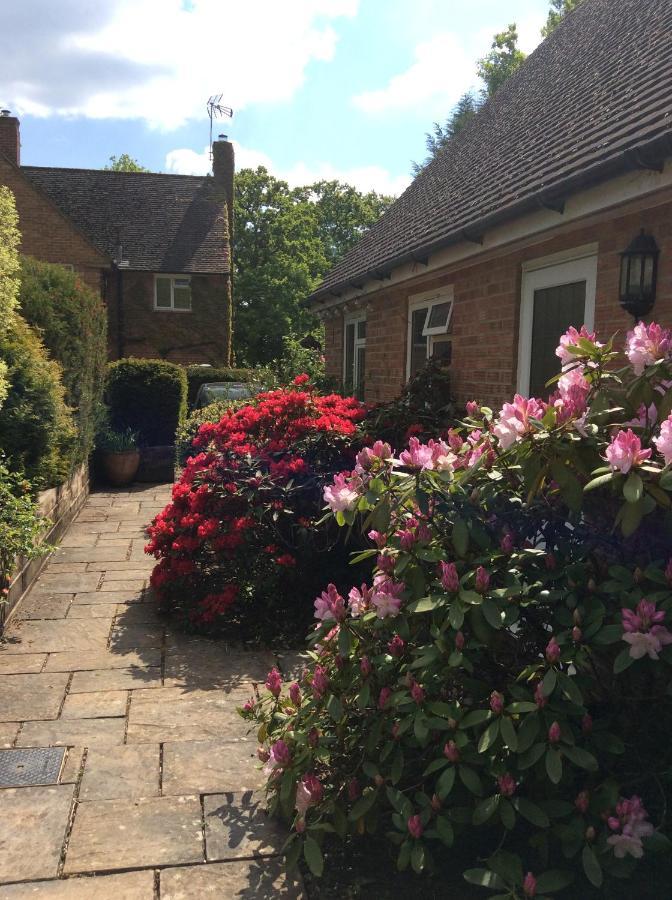 Ferienwohnung Melbury Rudgwick Exterior foto